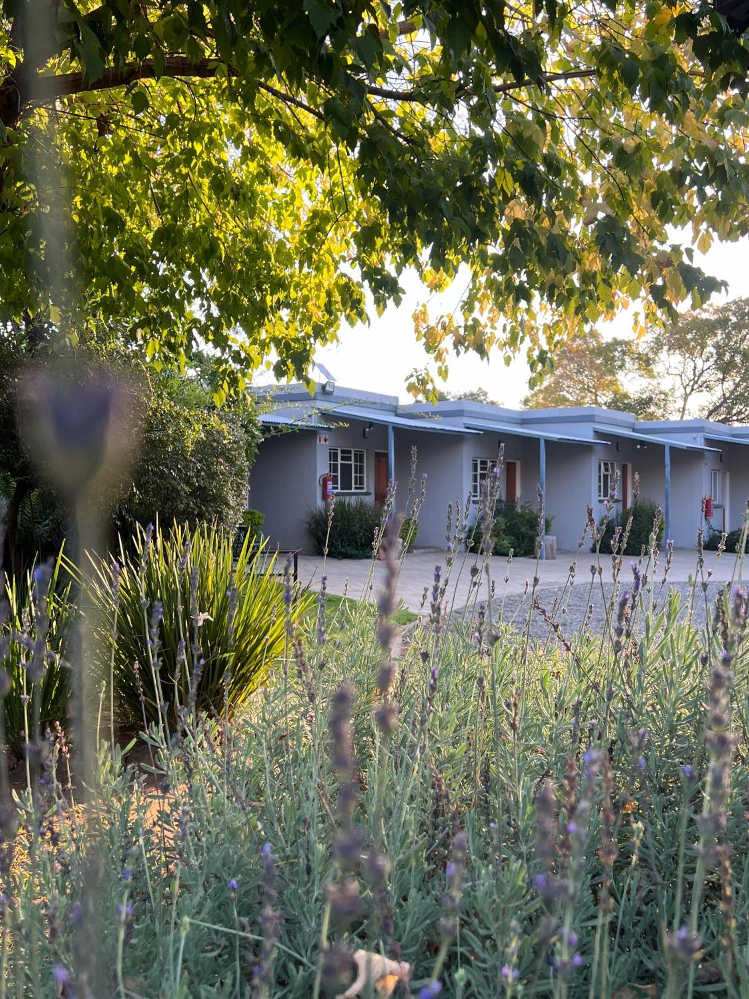 Patterson B&B Newcastle Bagian luar foto