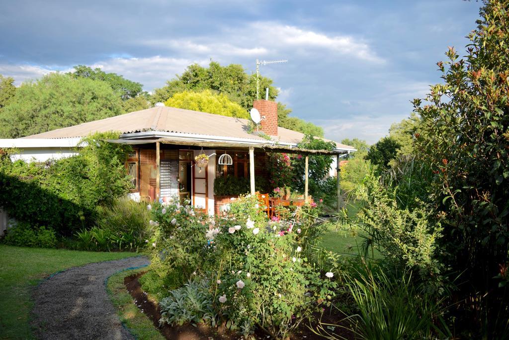 Patterson B&B Newcastle Bagian luar foto